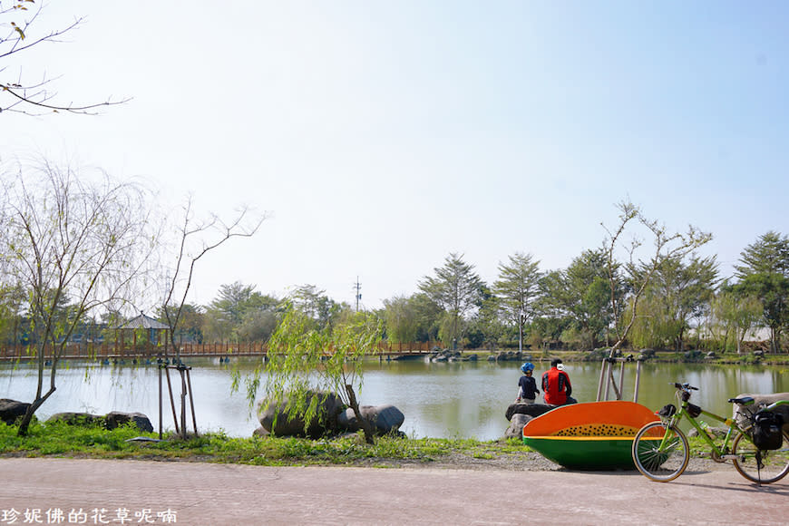 屏東新埤鄉綜合休閒公園｜向日葵花海