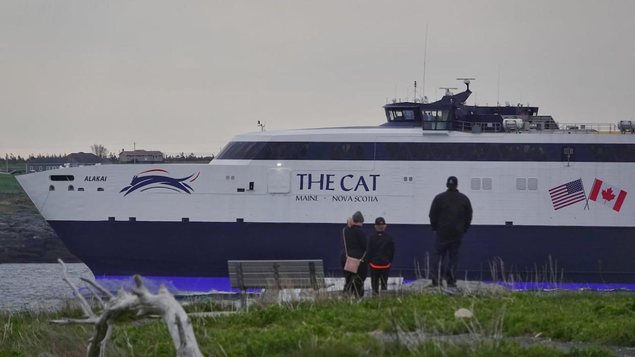 The Nova Scotia government hopes to award a tender next month for a economic impact analysis of the Cat ferry, which sails between Yarmouth, N.S. and Bar Harbor, Maine. (Brett Ruskin/CBC - image credit)