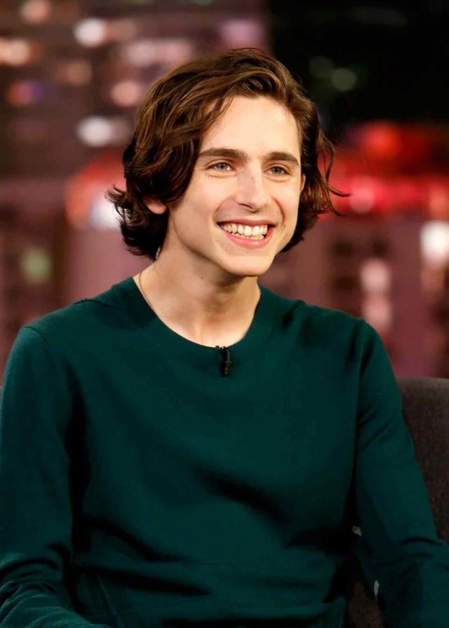 Timothée Chalamet's Hair Has Been Through a Lot in 2018