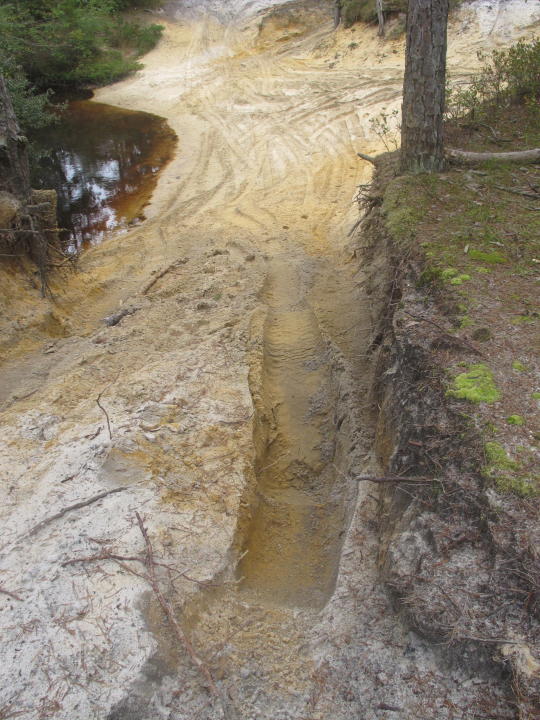 FILE - This Oct. 13, 2021, photo shows tire tracks cut into an area near a river in Wharton State Forest in Shamong, N.J. New Jersey is considering whether to institute a permit system for access to certain parts of Wharton State Forest, in part to address illegal vehicle usage in the woods. (AP Photo/Wayne Parry, File)