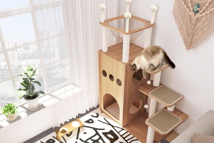 Best Cat Condos