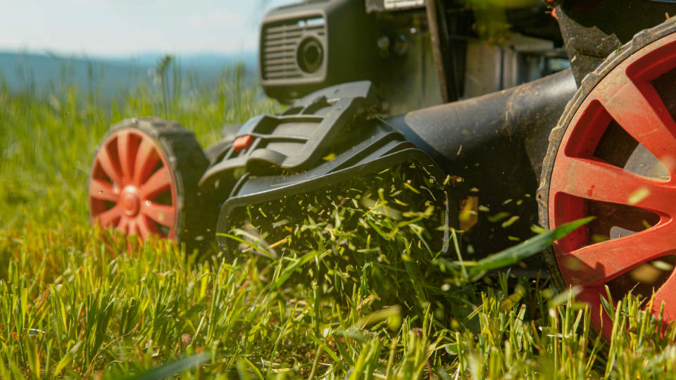 Lawn mower cutting grass close up