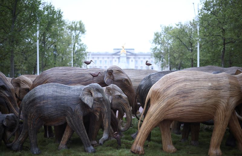 Life-size elephant sculptures are paraded down the Mall in London