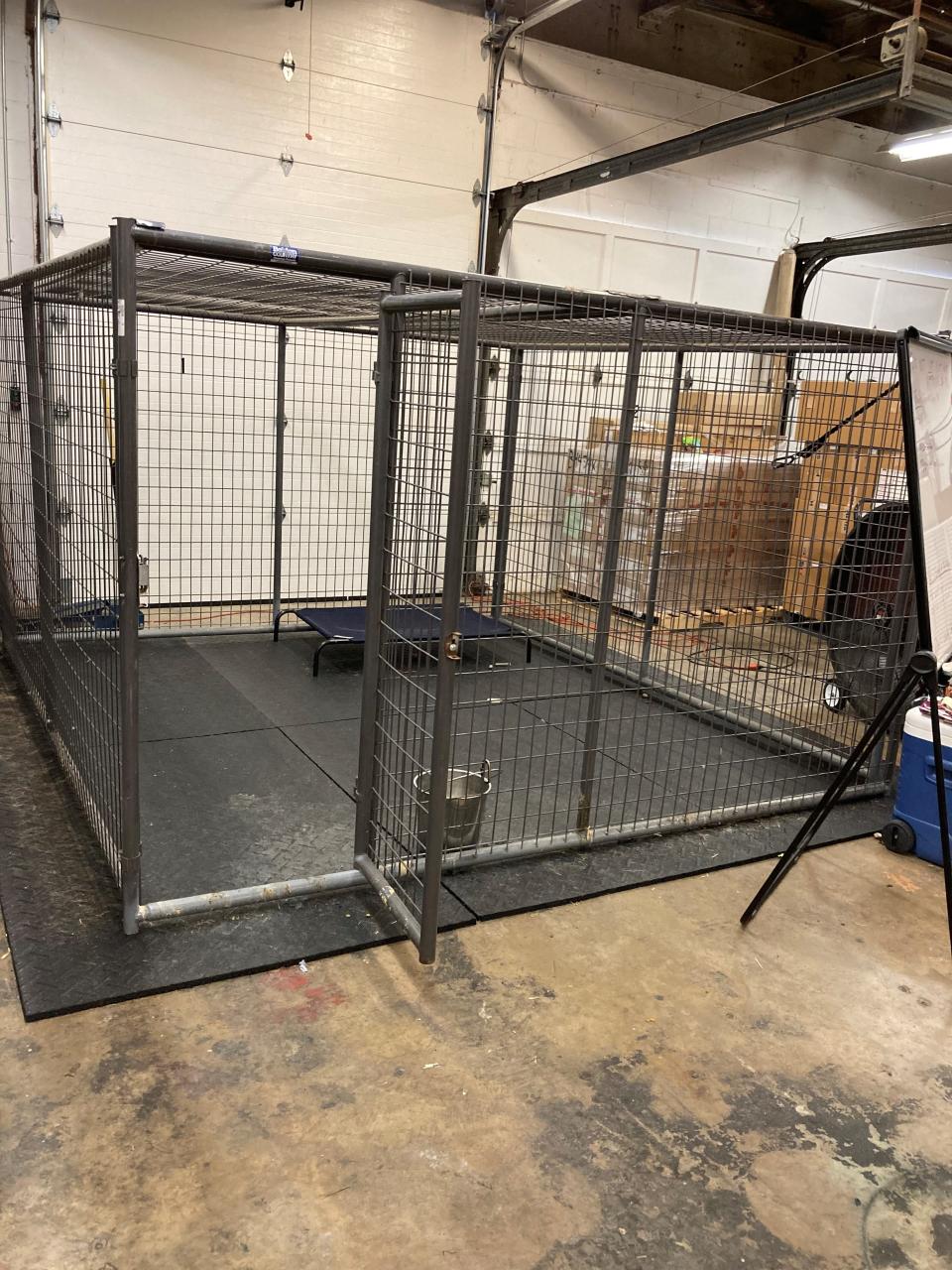 Rico's kennel.