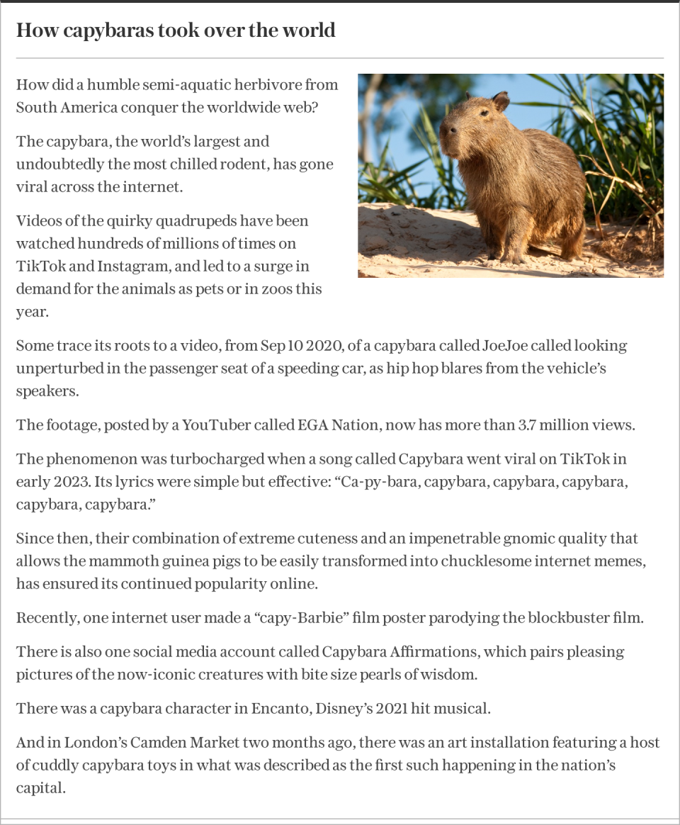 How capybaras took over the world