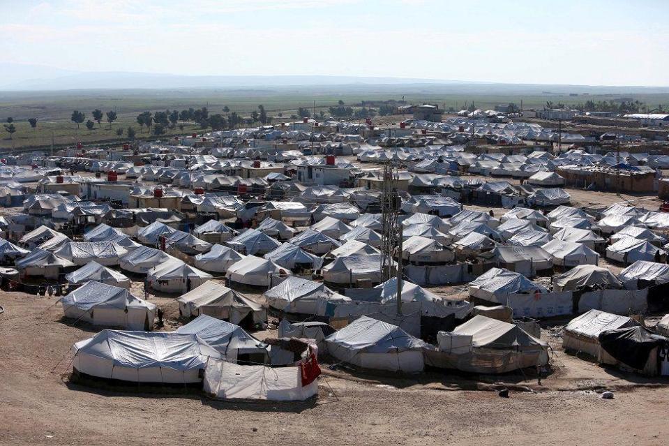 Decenas de carpas en una campo abierto