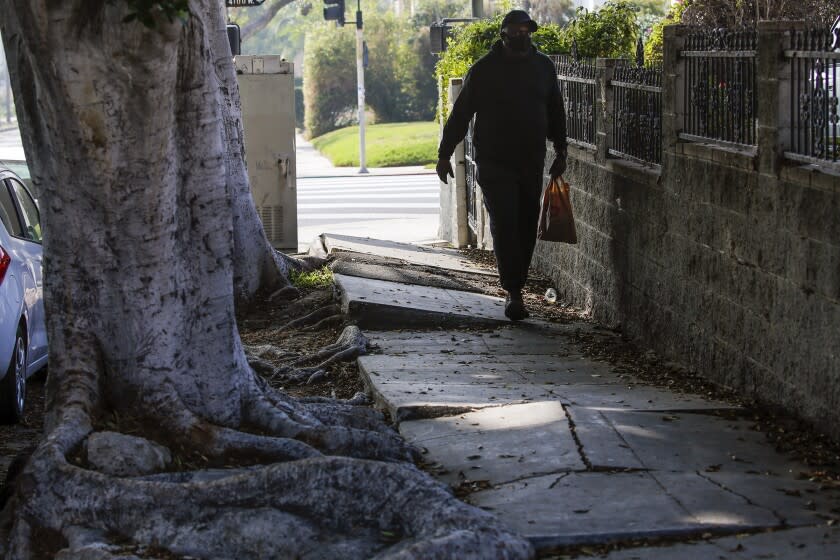 Los Angeles, CA - November 17: City of LA has release of a new audit urging lawmakers to make sweeping changes to the city's sidewalk repair program. A sidewalk that needs repair at 757 S. Norton Avenue on Wednesday, Nov. 17, 2021 in Los Angeles, CA. (Irfan Khan / Los Angeles Times)