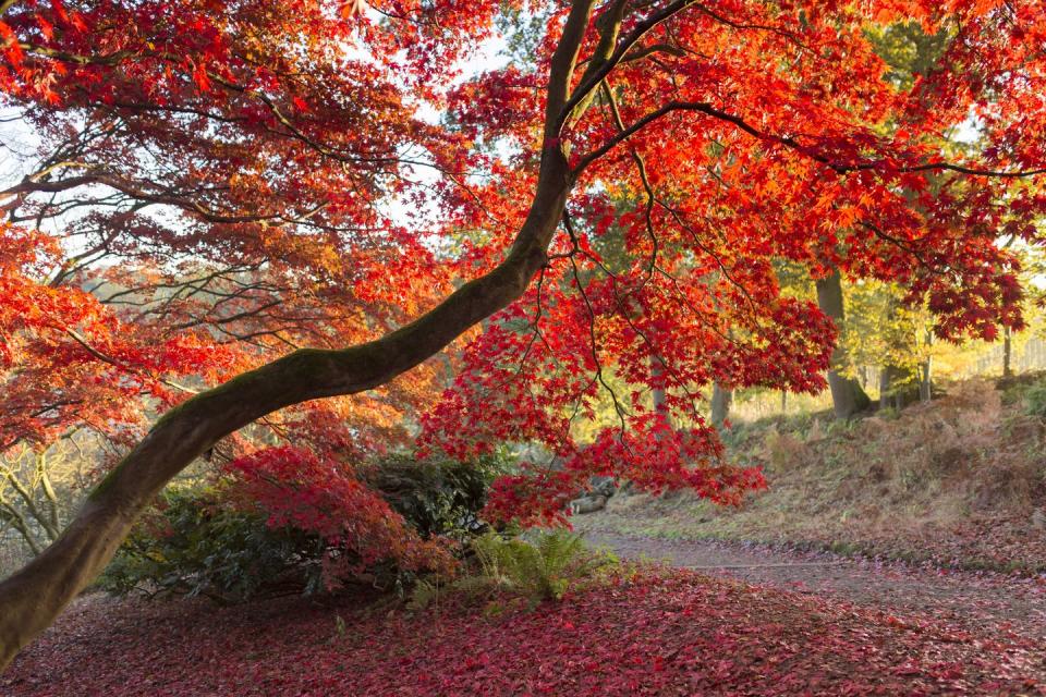 Photo credit: The National Trust/John Miller