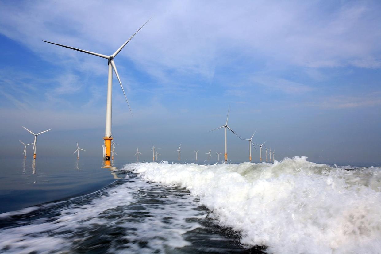 The committee for the regional assessment of offshore wind development in Nova Scotia released its interim report on Monday. (Christopher Furlong/Getty Images - image credit)