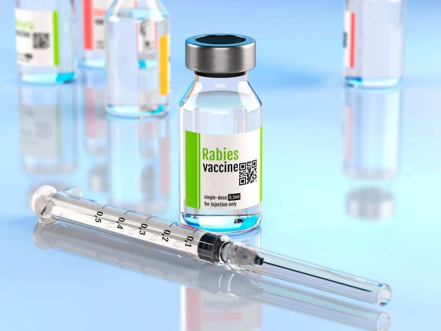 Rabies vaccine (Getty Images)