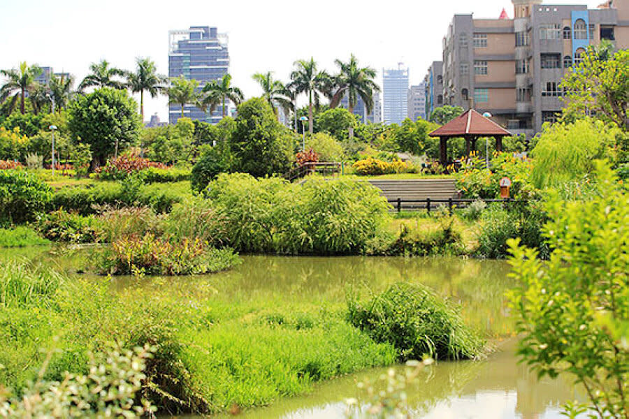 (圖片來源：新北市政府高灘地工程管理處)