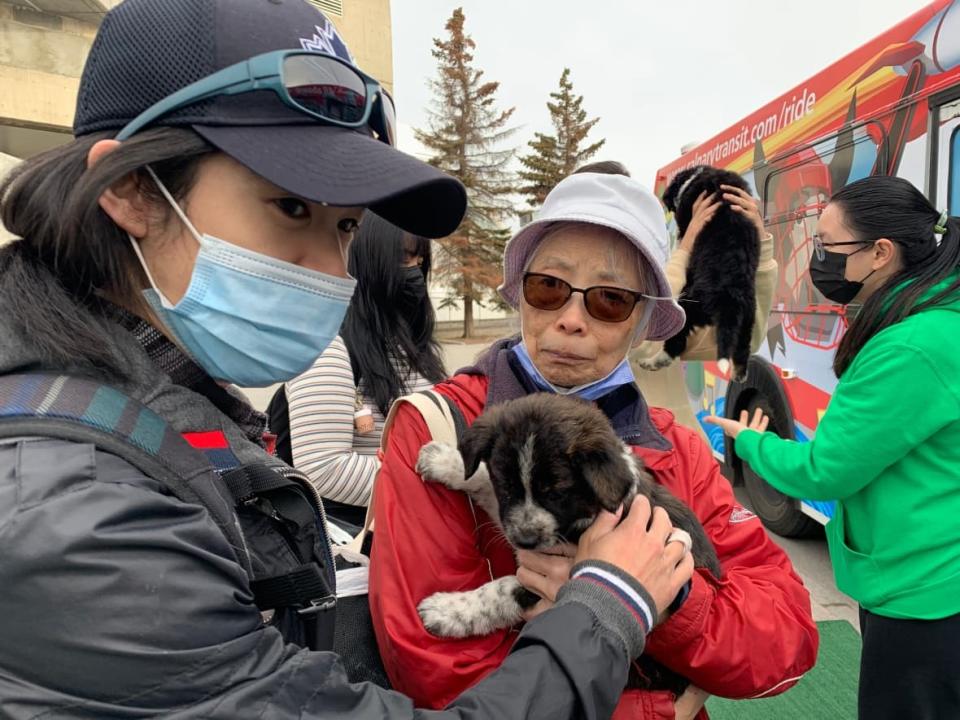 Calgarians enjoyed snuggling some puppies on Wednesday before their morning commute.  (Mike Symington/CBC - image credit)