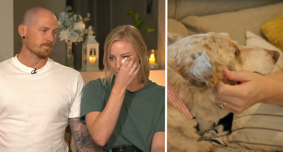 Scott and Danielle next to an image of their dog