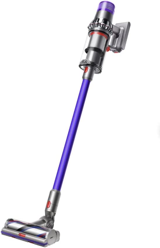 how to get rid of moths in clothes dyson v11 animal stick vacuum