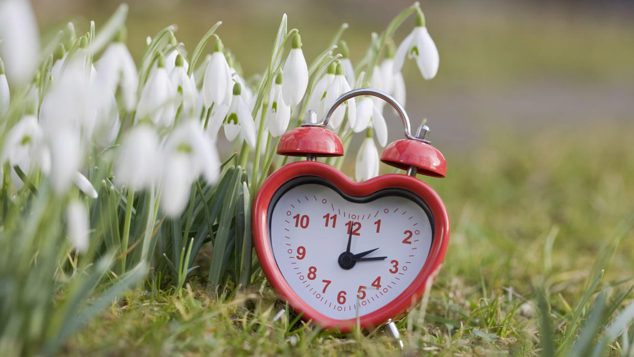  Don't forget to spring your clock forward on Sunday (March 10) at 2 a.m. Daylight saving time begins. 