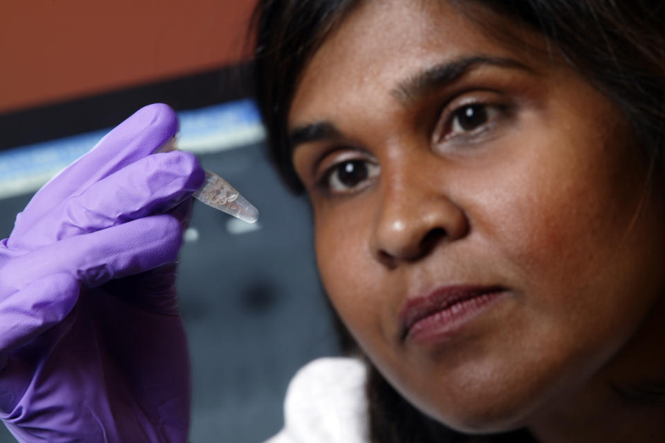 FILE - In this undated image provided by Johns Hopkins Medicine in 2005 Dr. Deborah Persaud, a pediatric HIV expert at Johns Hopkins' Children's Center in Baltimore, holds a vial. A second baby born with the AIDS virus may have had her infection put into remission and possibly cured by very early treatment - in this instance, four hours after birth. Doctors revealed the case Wednesday, March 5, 2014 at an AIDS conference in Boston. A host of sophisticated tests at multiple times suggest the LA baby has completely cleared the virus, said Persaud, who led the testing. (AP Photo/Johns Hopkins Medicine)