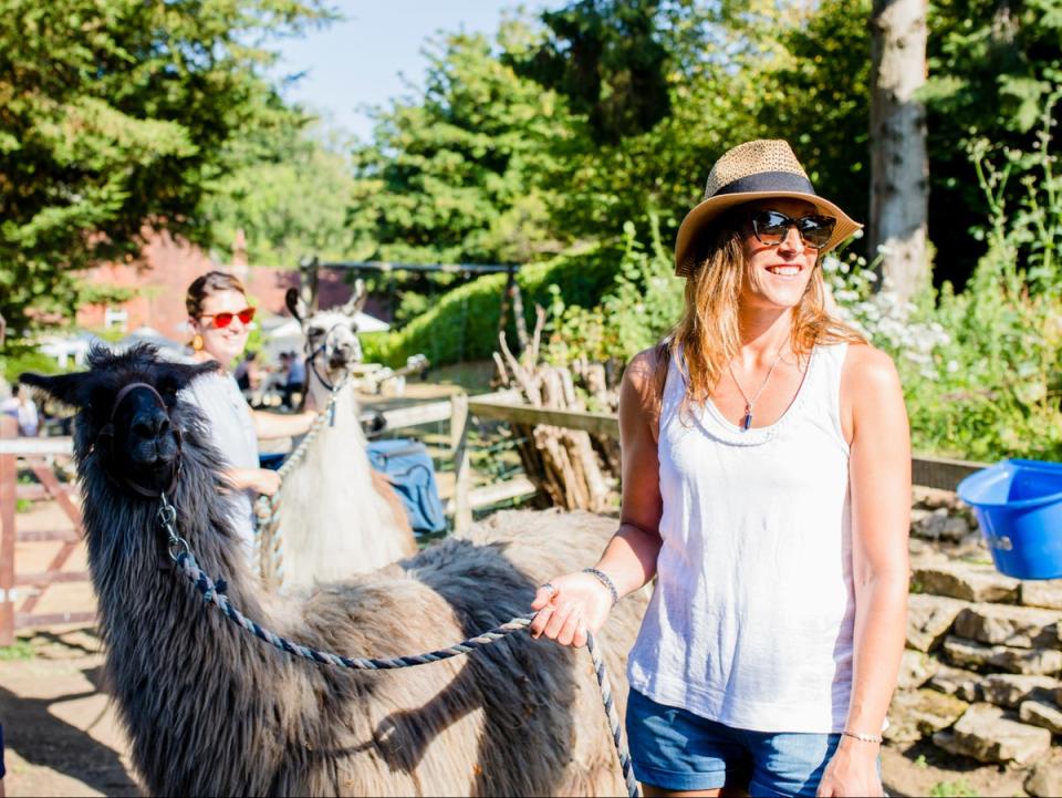 Go llama trekking at the Merry Harriers (Merry Harriers)