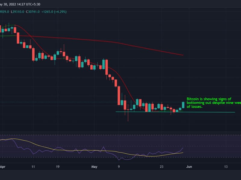 Bitcoin is showing signs of  bottoming out despite nine weeks of losses. (TradingView)