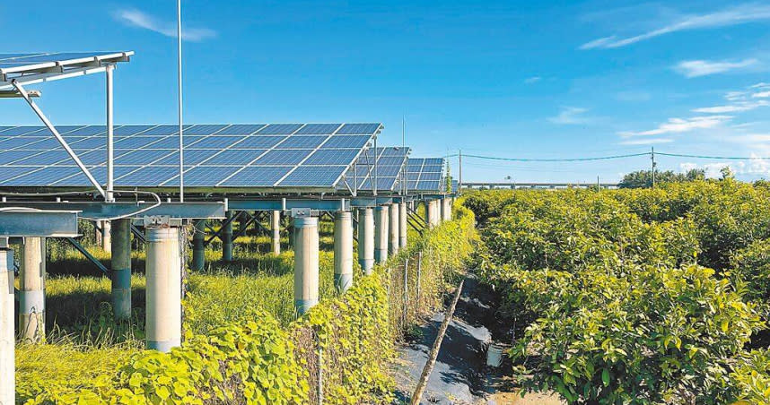 極端氣候引發缺水問題，頻繁休耕被光電業者視為新商機，廣租農地種電，未來恐衝擊糧食供應。圖為屏東蓮霧園變身光電場。（圖／中國時報謝佳潾攝）