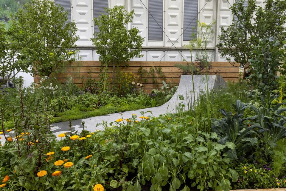 rhs chelsea flower show 2024 all about plants garden designs