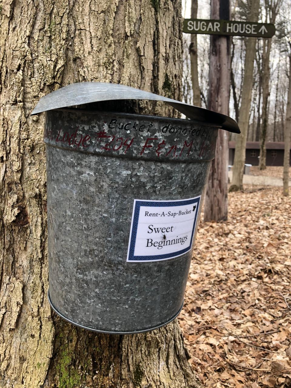 Thawed temperatures pump maple sap into a bucket as long as it's also freezing at night, as seen in a prior year at Bendix Woods County Park in New Carlisle.