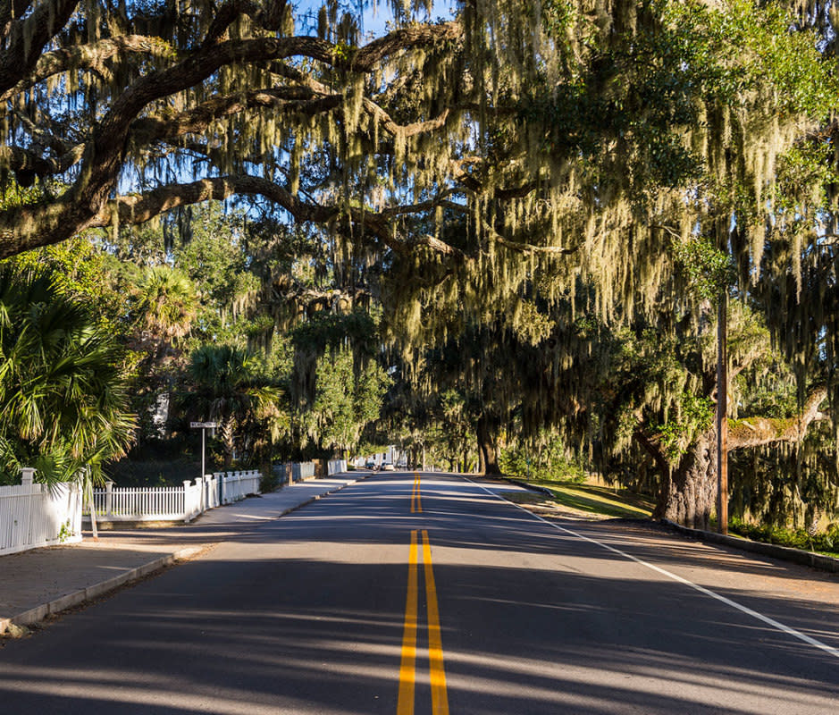 <p>Westend61/Getty Images</p><p>Beaufort has architecture and culture like Charleston plus natural beauty that stands up to Hilton Head—but sans crowds. Take a walk along the <a href="https://www.spanishmosstrail.com/visit" rel="nofollow noopener" target="_blank" data-ylk="slk:Spanish Moss Trail;elm:context_link;itc:0;sec:content-canvas" class="link ">Spanish Moss Trail</a>, with 10 miles of paved walkway and complimentary marsh views, or rent a kayak to paddle through a salt marsh at low tide. Better yet, go out on a Dolphin Ecology Tour with <a href="https://beaufortkayaktours.com/" rel="nofollow noopener" target="_blank" data-ylk="slk:Beaufort Kayaks;elm:context_link;itc:0;sec:content-canvas" class="link ">Beaufort Kayaks</a>, and guides will help point out Bottlenose dolphin hangouts. Of course, another way to explore Beaufort is by slurping oysters along the <a href="https://lowcountryoystertrail.org/explore/" rel="nofollow noopener" target="_blank" data-ylk="slk:Low Country Oyster Trail;elm:context_link;itc:0;sec:content-canvas" class="link ">Low Country Oyster Trail</a>.</p><p><strong>When to Visit:</strong> While you'll never escape SC's humidity altogether, you can find less of it by visiting in early spring or late fall. The city is quieter in winter, so you'll have it all to yourself—just know that things slow down here event-wise. Culinary travelers should align their trip with something like the <a href="https://beaufortshrimpfestival.com/" rel="nofollow noopener" target="_blank" data-ylk="slk:Beaufort Shrimp Festival;elm:context_link;itc:0;sec:content-canvas" class="link ">Beaufort Shrimp Festival</a> in early October.</p><p><strong>What to Do:</strong> Less than 30 minutes away, the beach at<a href="https://southcarolinaparks.com/hunting-island/things-to-do#jump" rel="nofollow noopener" target="_blank" data-ylk="slk:Hunting Island State Park;elm:context_link;itc:0;sec:content-canvas" class="link "> Hunting Island State Park</a> is a great spot to fish, walk along trails, climb a lighthouse or take a<a href="https://coastalexbeaufort.com/portfolio/hunting-island-dolphin-cruise/" rel="nofollow noopener" target="_blank" data-ylk="slk:dolphin watching cruise;elm:context_link;itc:0;sec:content-canvas" class="link "> dolphin watching cruise</a>.</p><p><strong>Where to Stay:</strong> <a href="https://anchorage1770.com/" rel="nofollow noopener" target="_blank" data-ylk="slk:Anchorage 1770;elm:context_link;itc:0;sec:content-canvas" class="link ">Anchorage 1770</a> is a stately Southern stay with a killer restaurant on site. Each of the meticulously restored rooms are a little different, with details like waterfront views, bay windows and detailed plasterwork.</p><p><strong>What to Eat:</strong> Diners at <a href="https://www.blacksheeponboundary.com/" rel="nofollow noopener" target="_blank" data-ylk="slk:Blacksheep;elm:context_link;itc:0;sec:content-canvas" class="link ">Blacksheep</a> enjoy a unique format where you pick three things to eat for $60 and it’s coursed out for you. <a href="https://oldbulltavern.com/" rel="nofollow noopener" target="_blank" data-ylk="slk:Old Bull Tavern;elm:context_link;itc:0;sec:content-canvas" class="link ">Old Bull Tavern</a> is a local mainstay for dishes like cider-brined pork chops and wood-fired oysters and pizzas. <a href="https://lostlocal.com/" rel="nofollow noopener" target="_blank" data-ylk="slk:Lost Local;elm:context_link;itc:0;sec:content-canvas" class="link ">Lost Local</a> is the spot for tacos and margs.</p>