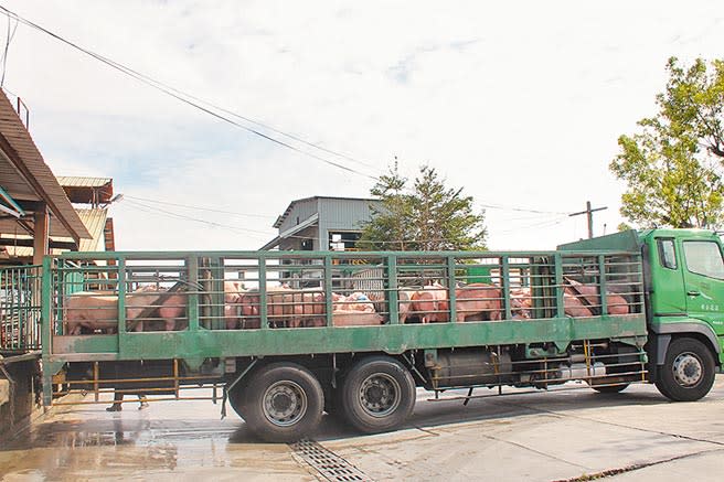 台中北屯肉品市場將轉型，彰化縣每日吸收千頭屠宰量，溪湖肉品市場除了自籌增設1條屠宰專線，彰縣府更爭取匡列百億養豬基金，提升屠宰設備和冷鏈環境，強化彰化鮮豬肉供應的品質。（吳敏菁攝）