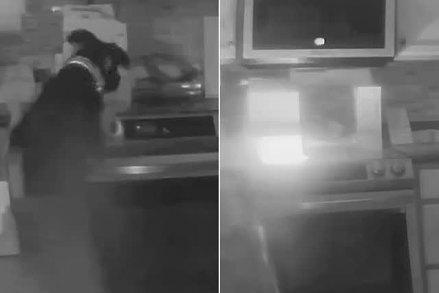 <p>Colorado Springs Fire Dept./TMX</p> Dog accidentally starts fire in owner's kitchen
