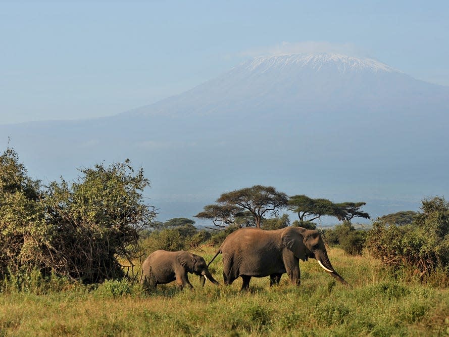 Maasai Mara National Reserve