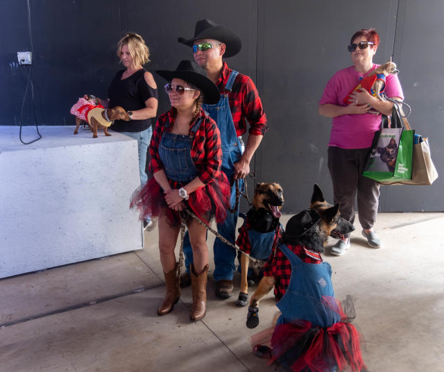 Amarillo goes to the dogs during annual Muttfest at Starlight Ranch