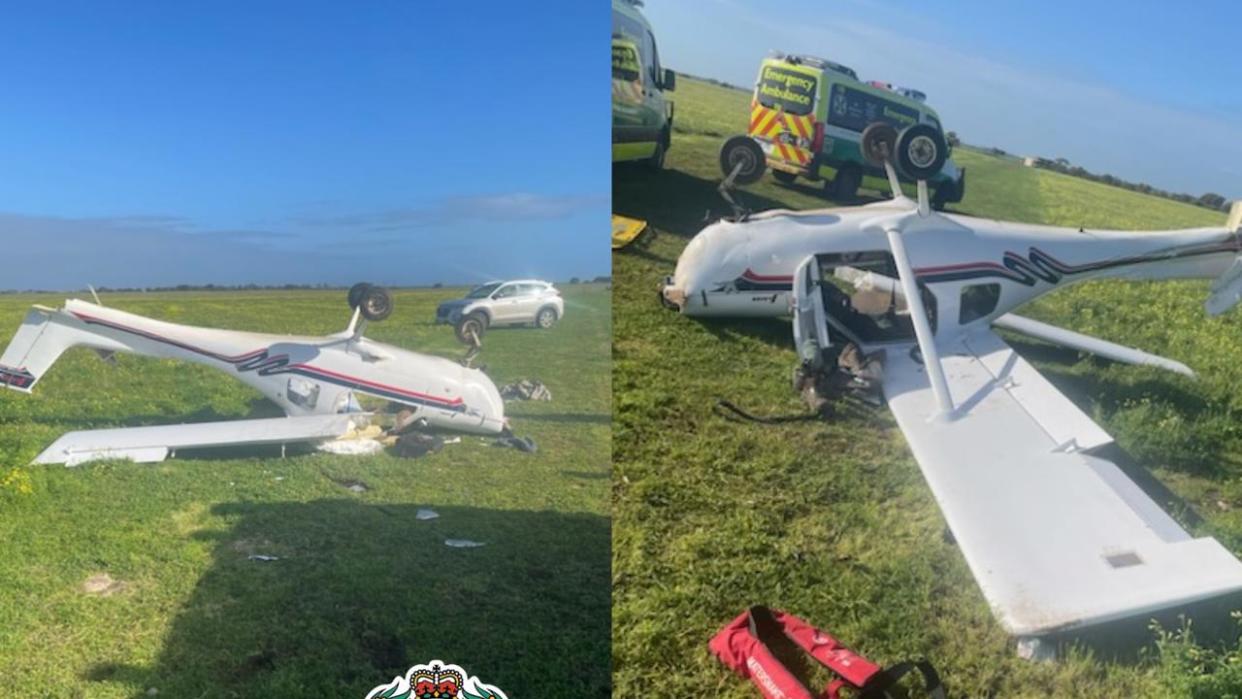 light plane crashed after hitting horse on take off