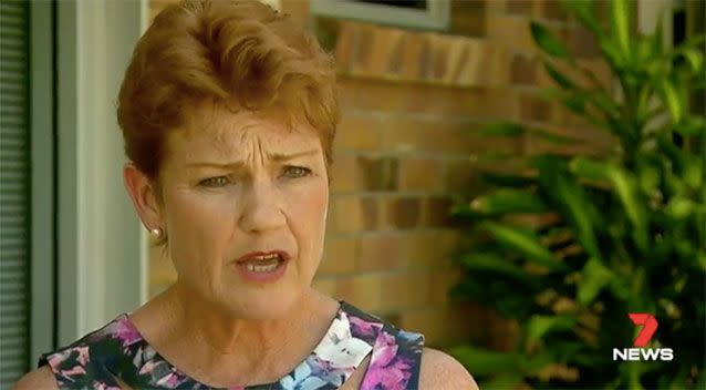 One Nation Senator Pauline Hanson. Picture: 7 News