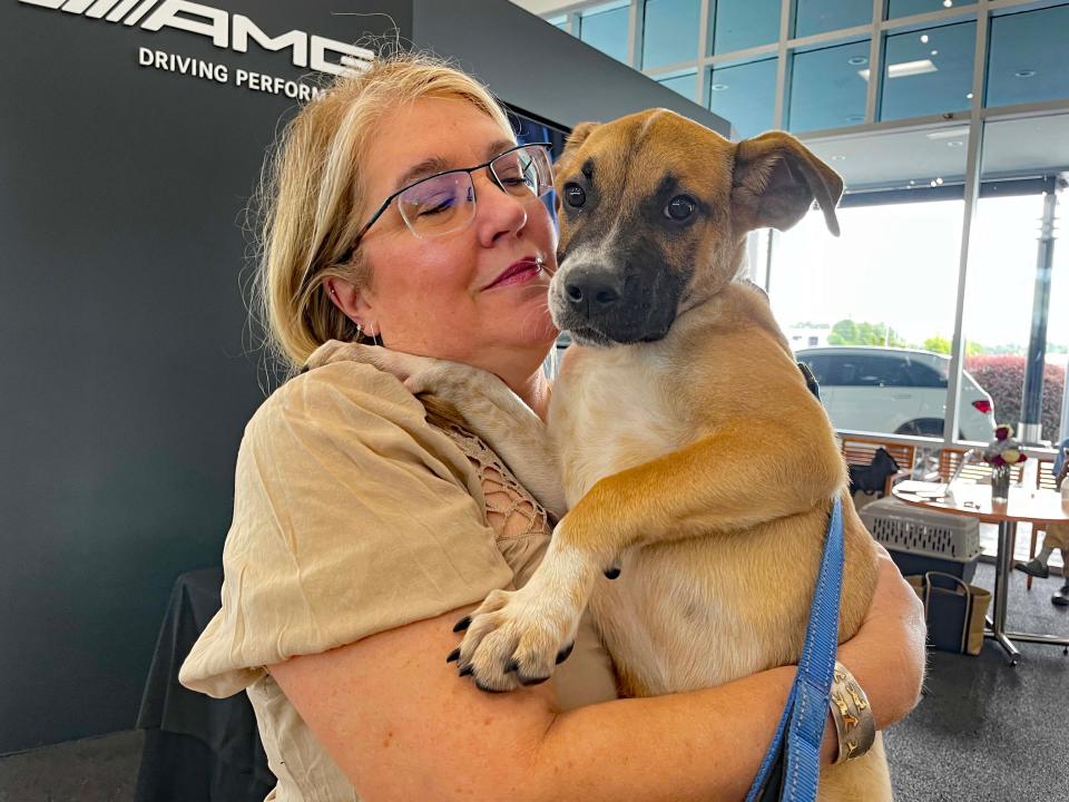 Constance Paras, executive director of the Humane Society of Tennessee Valley, is right at home cuddling a dog after receiving $10,000 from Furrow Automotive Group’s Mercedes-Benz Knoxville Thursday, July 21, 2022.