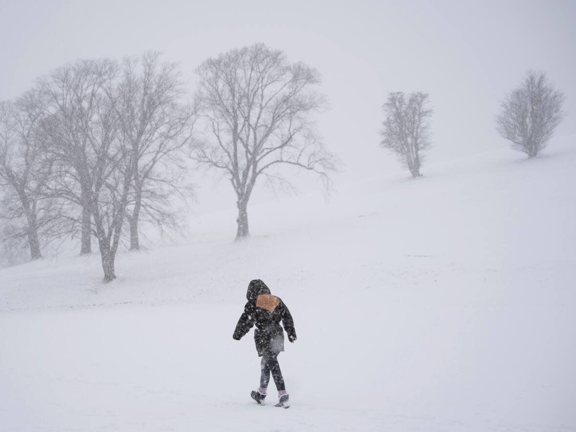 Environment Canada cautions people to cover up if they must go out. 'Frostbite can develop within minutes on exposed skin, especially with wind chill,' it says. (Darren Calabrese/The Canadian Press - image credit)