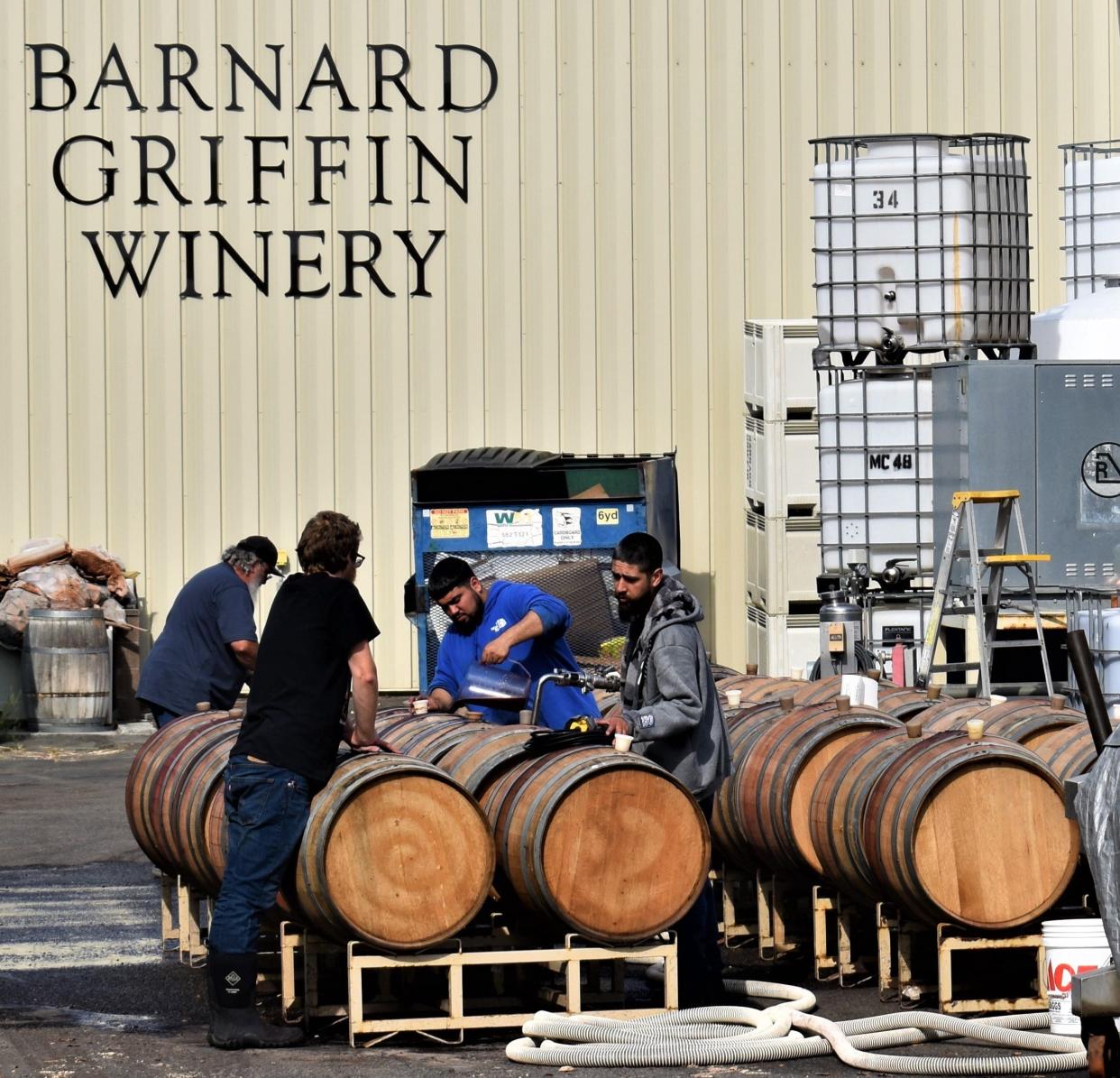 Scenes from some of the harvest activity at Barnard Griffin Winery in Richland.
