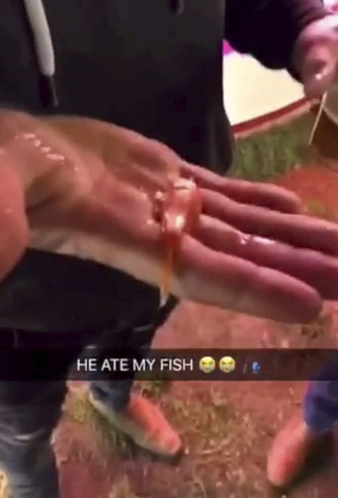 Joshua Coles, 27, of Tiverton, Devon, was filmed swallowing a goldfish which had been won at Bridgwater Fair last year. He was fined £300 and banned from keeping fish for five years. The fair has confirmed it will no longer offer fish as prizes. (SWNS)