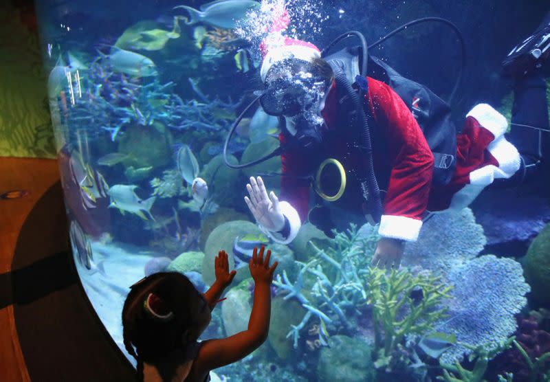 FILE PHOTO: A young visitor is greeted by a diver dressed as Santa Claus at Sea Life aquarium in Bangkok, Thailand