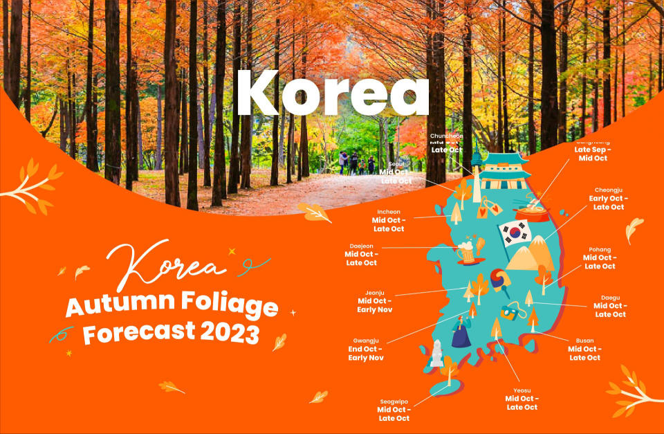 Korea Autumn Foliage Forecast 2023. (Photo: Klook SG)