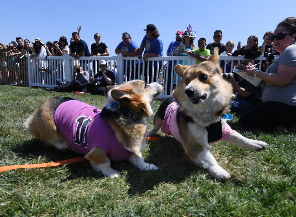 (Photo: MARK RALSTON via Getty Images)