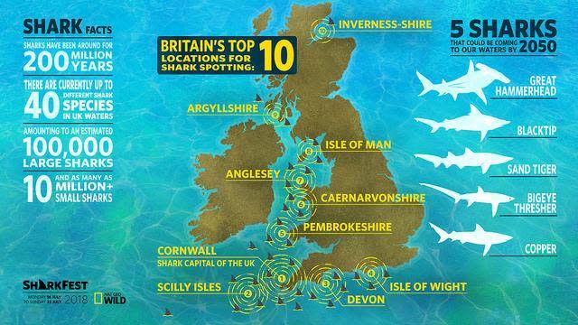 A ‘shark map of Britain’ illustrates the UK’s shark hotspots (Nat Geo WILD)