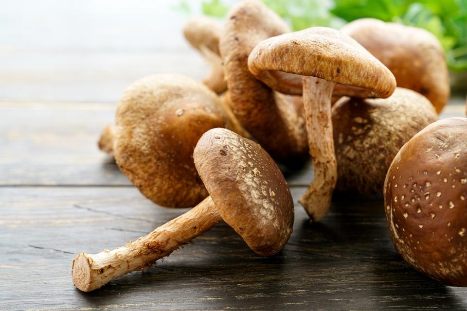 Mushrooms are the only vegetarian source of ergosterol, a Vitamin D precursor. That means that when mushrooms are exposed to sunlight during their growth period, they convert the ergosterol directly into Vitamin D