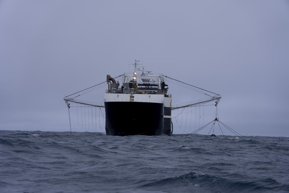 The Norwegian Aker BioMarine's Antarctic Sea trawls for krill in the Southern Ocean off the coast of the South Orkney Islands, north of the Antarctic Peninsula, on March 10, 2023. (AP Photo/David Keyton)