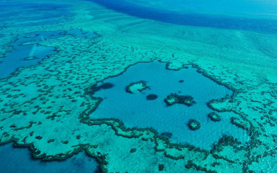 Great Barrier Reef - EyesWideOpen/Getty Images