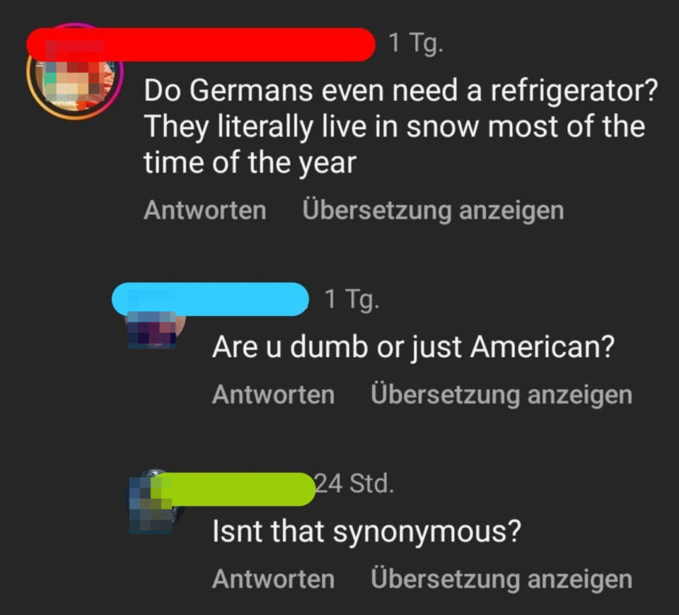 Screenshot of a social media comment exchange with misconceptions about Germans and a retort questioning the commenter's intelligence