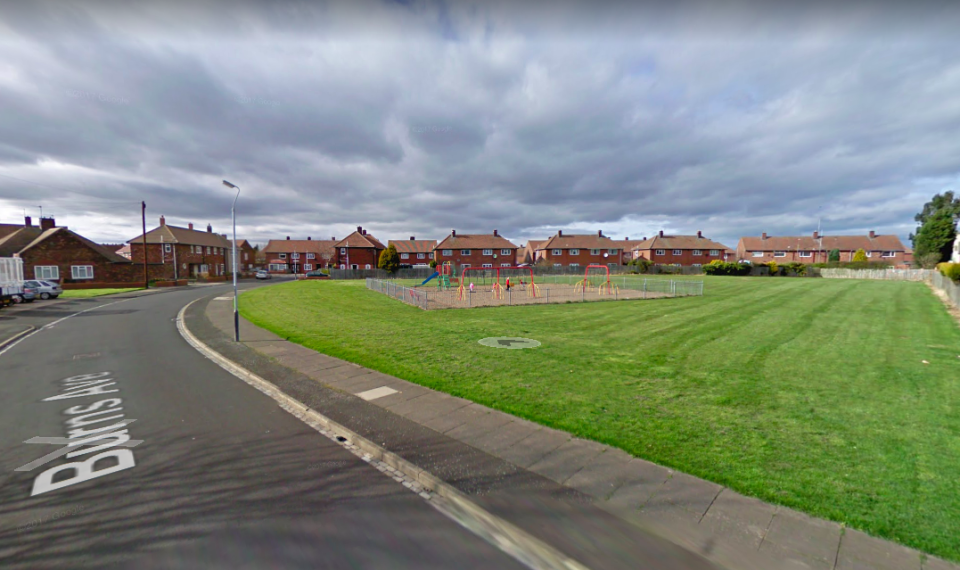 <em>The dog attacked children playing in a park in Burns Avenue in Northumberland (Google)</em>