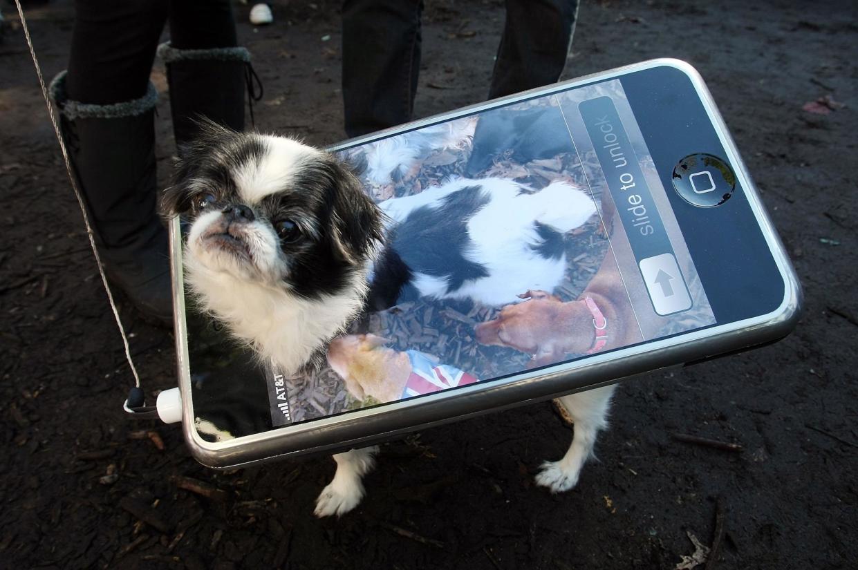 Bon the dog poses as an iPhone during the 17th annual Tompkins Square Halloween Dog Parade October 28, 2007 in New York City: Mario Tama/Getty Images