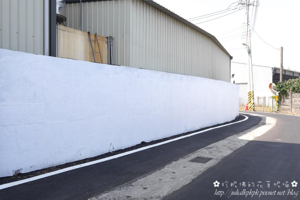 【高雄-仁武區】後安社區冰雪奇緣彩繪巷