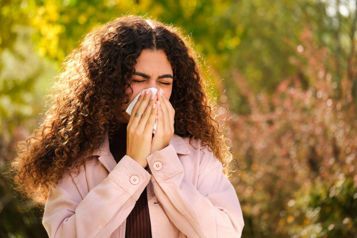 Making your bed in the morning could be making your hay fever worse <i>(Image: Getty)</i>