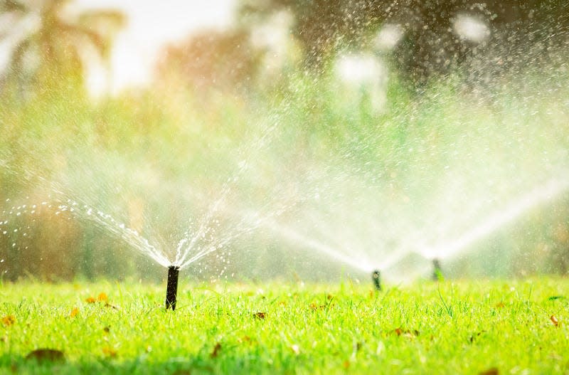 Be careful to not over-hydrate your lawn this summer