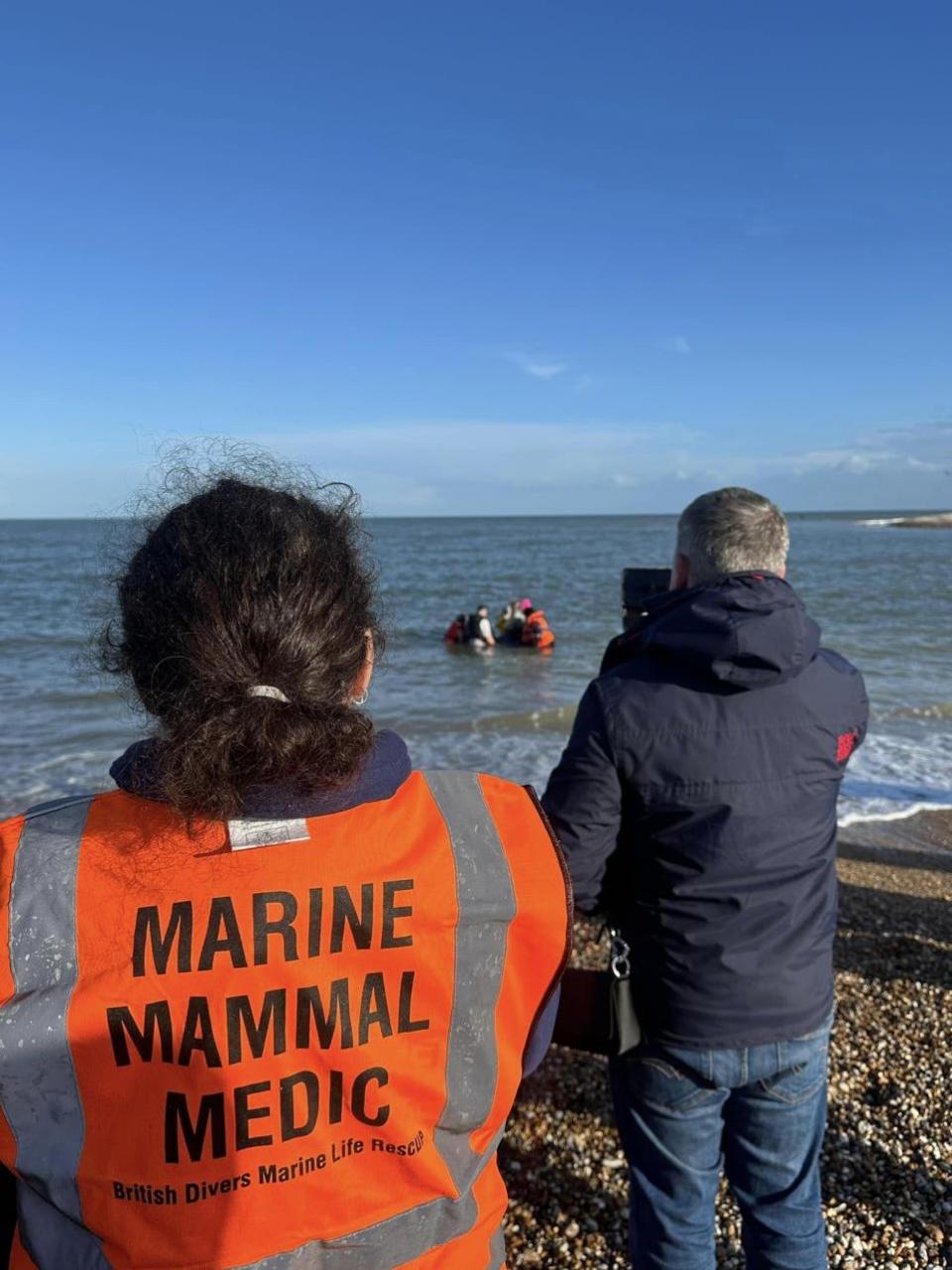 The Argus: The team tried to get the dolphin back into the sea